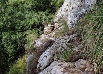 Rückweg von der Grotte Edera