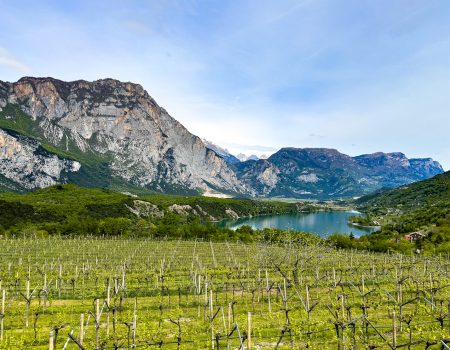 Blick auf den Lago di Cavedine
