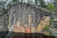 über 60 Zeichnungen an der Wand
