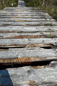 Vertrauen ist alles!