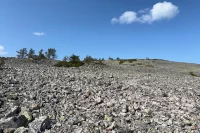 Der ganze Gipfel Geröll