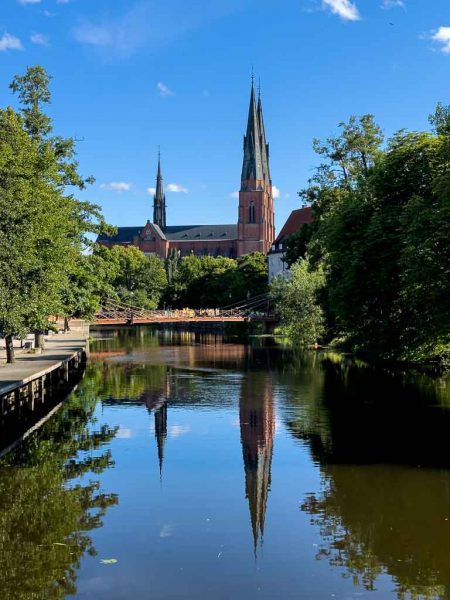 09072023_img_0988-004-2