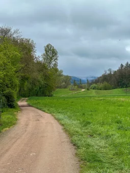 2025-04-Oelitours-IMG_6006 -oelitours.de_1536_2048-G