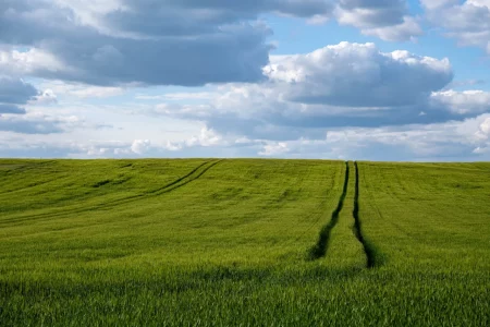 2025-05-Oelitours-DSC03073-Verbessert-RR -oelitours.de_2560_1707-G