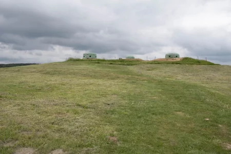 2025-05-Oelitours-DSC03086 -oelitours.de_2560_1707-G