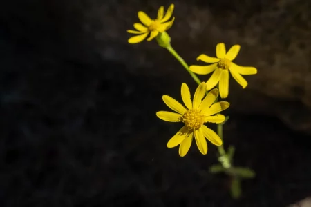 2025-05-Oelitours-DSC03131 -oelitours.de_2560_1707-G