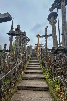 2025-05-Oelitours-IMG_6177 -oelitours.de_1365_2048-G