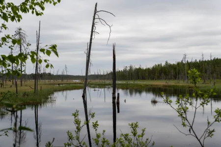 2025-06-Oelitours-DSC03627