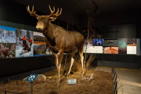 2025-06-Oelitours-DSC03727-Verbessert-RR