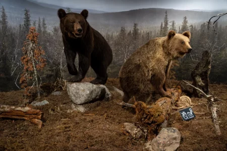 2025-06-Oelitours-DSC03729-Verbessert-RR