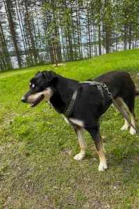 2025-06-Oelitours-IMG_6636