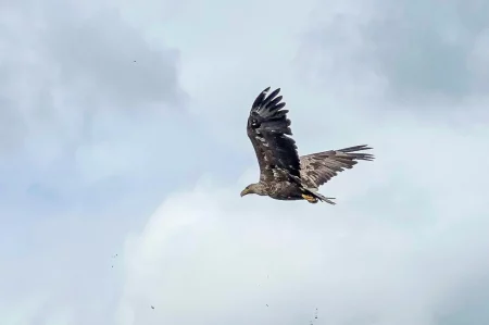 2025-07-Oelitours-IMG_7442 -oelitours.de