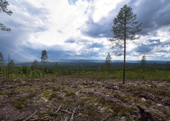 Passhöhe in Norwegen
