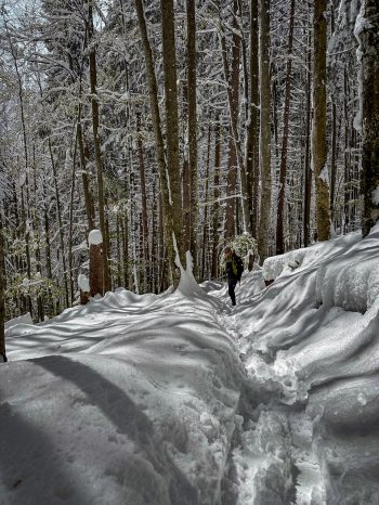 Hier hat es nochmal richtig Winter