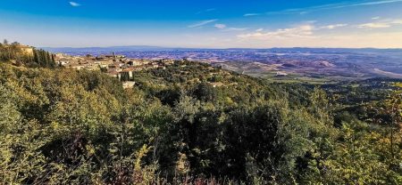 Montalcino