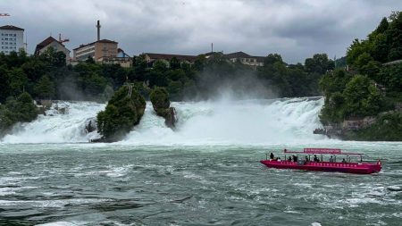 Hochwasser am Rhein